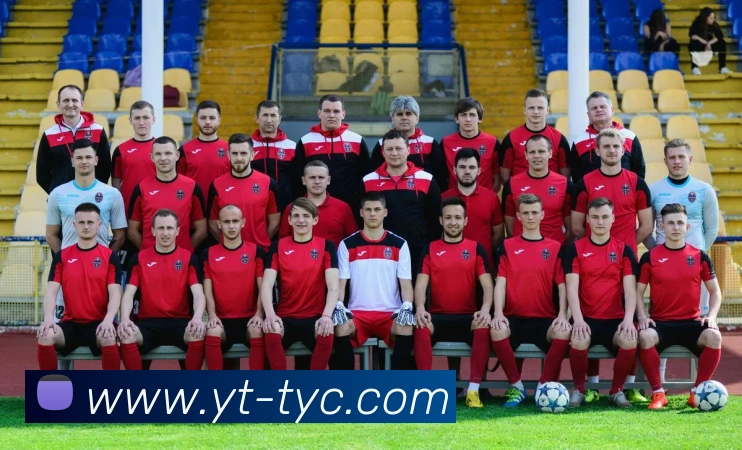 太阳城网站平台生态图